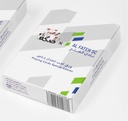 Al-Fateh Playing Cards White